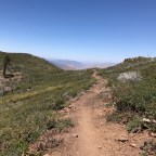 PCT day 4