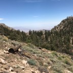 Pct day 20﻿