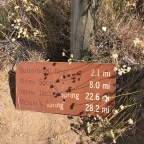 Pct day 46