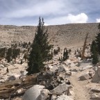 Pct day 57
