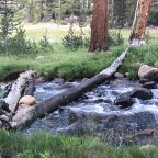 Pct day 59: the day everything was awful