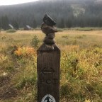 Pct day 75