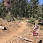 Pct day 85