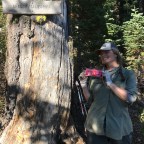 Pct day 105