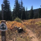 Pct day 106
