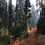 Pct day 114